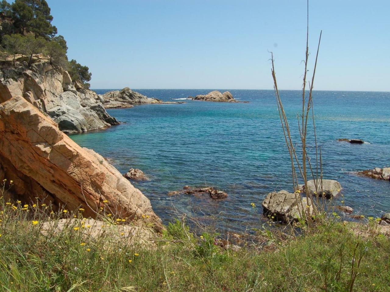 טוסה דה מאר Studios Face A La Mer - Cala Llevado מראה חיצוני תמונה